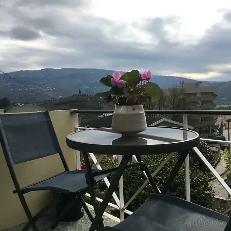 Dom Ruas Apartment *