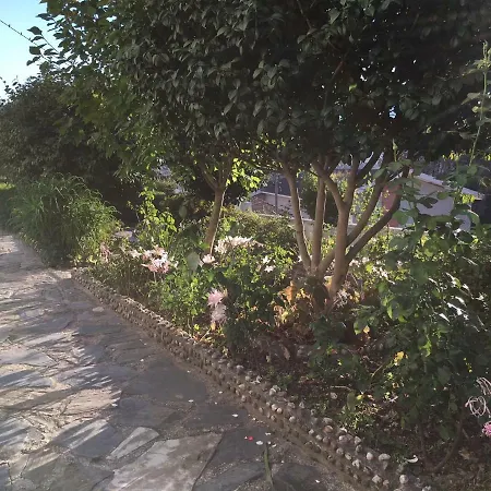 Dom Ruas * Peso da Régua