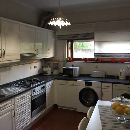 Dom Ruas Peso da Régua