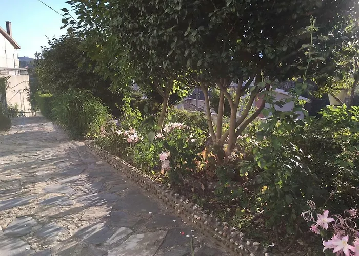 Dom Ruas * Peso da Régua