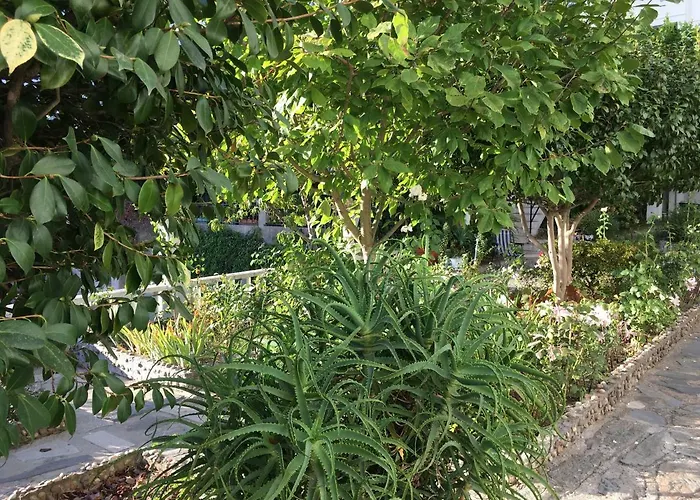 Dom Ruas Appartement *