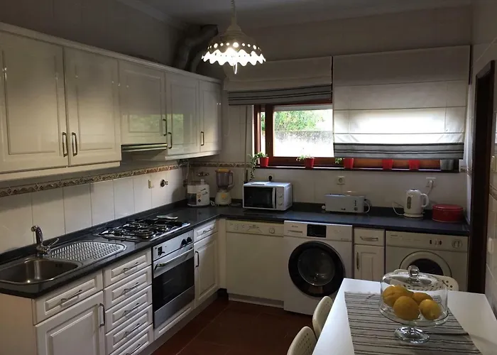 Dom Ruas Peso da Régua